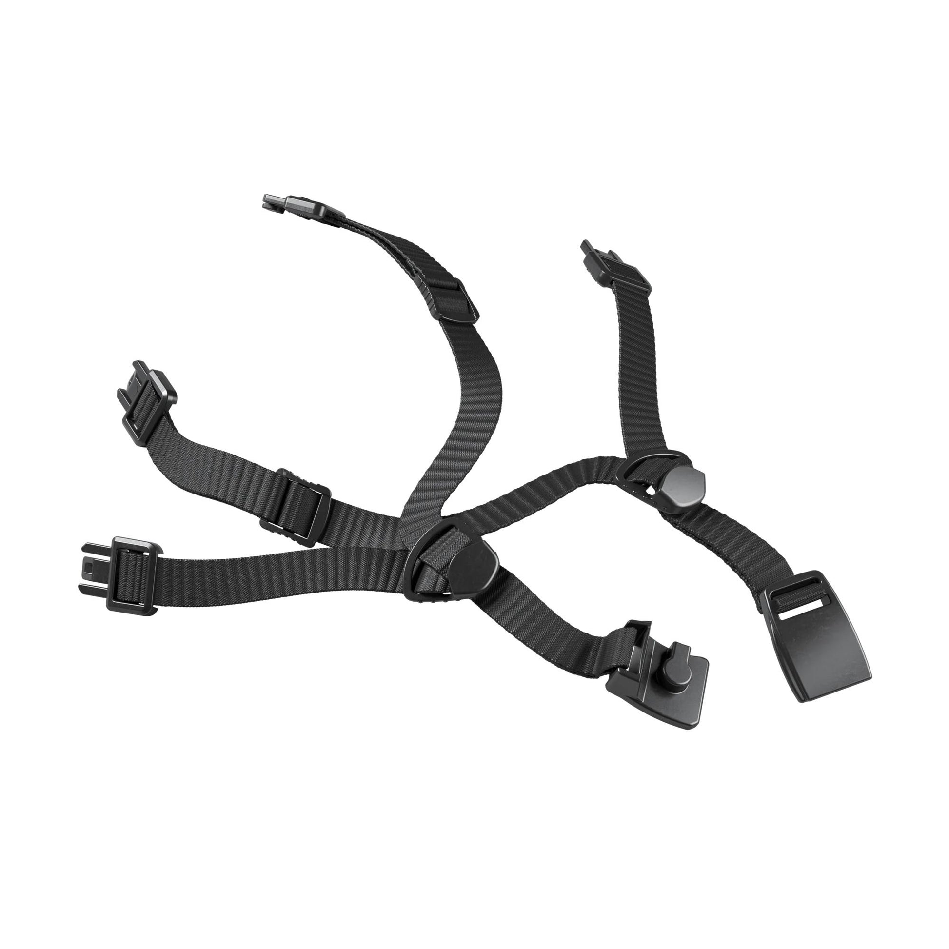 Chinstrap 4-point Sector-1