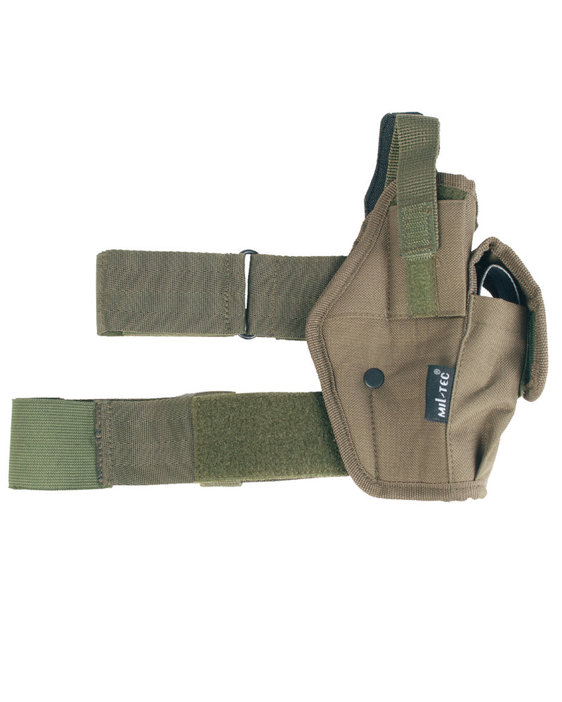 BEINHOLSTER-1