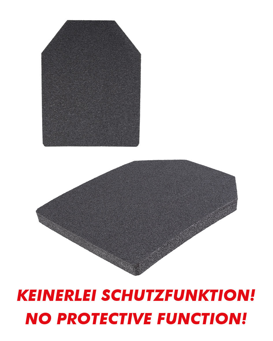 DUMMY PLATES 33 X 25,5 CM