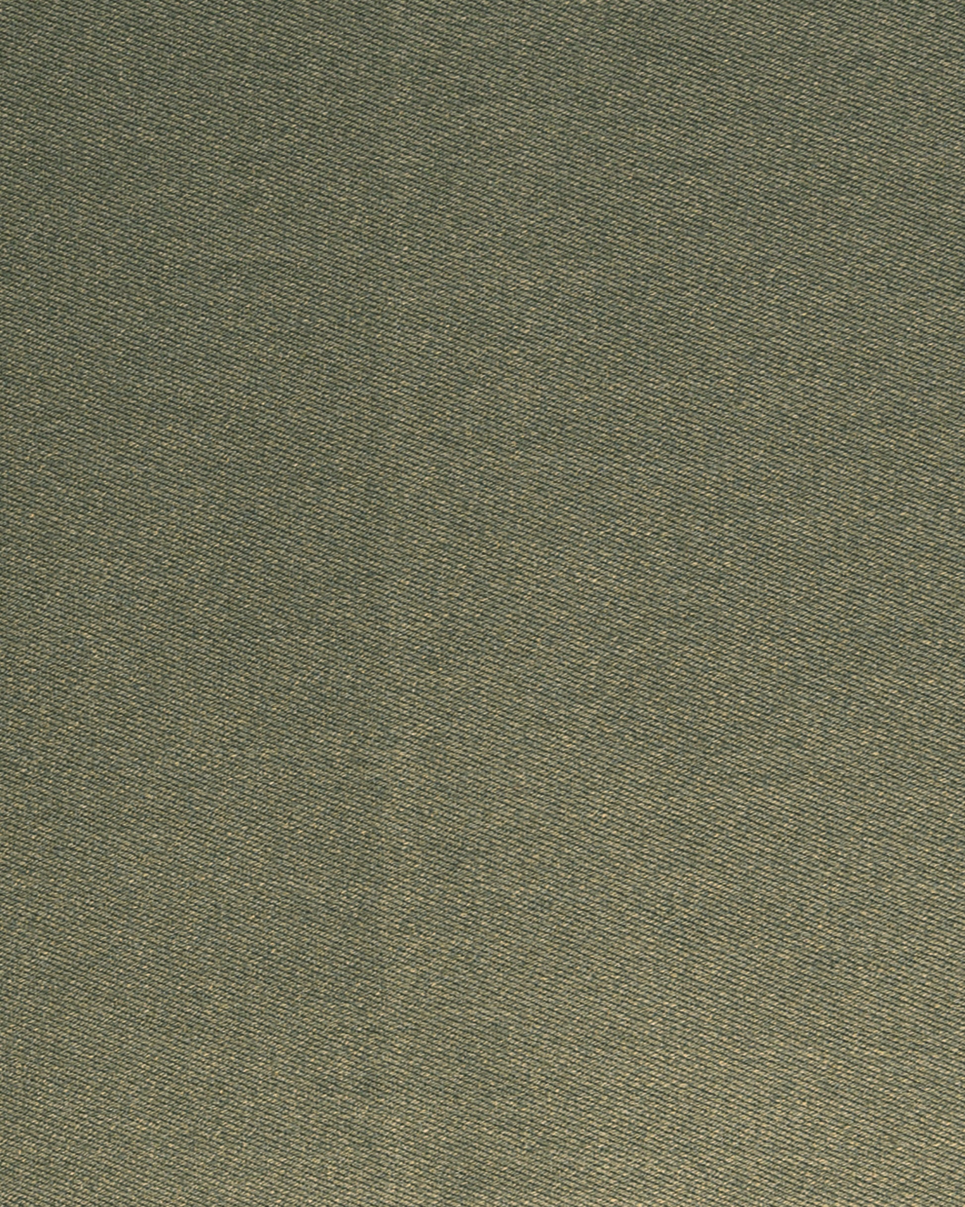 Kangas BESCHICHTET LEICHT oliivi 150 CM BR-1