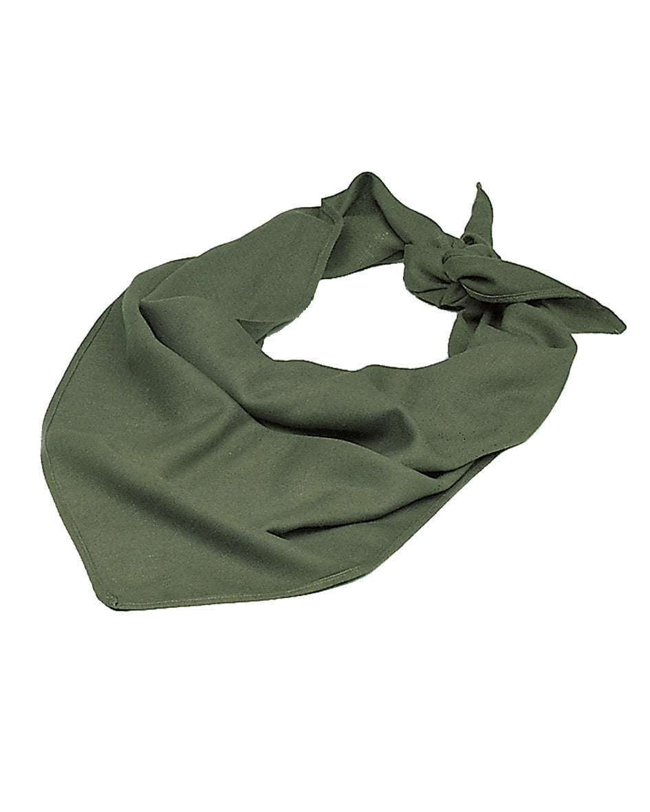 Bundeswehr DREIECKSTUCH oliivi käytetty-1