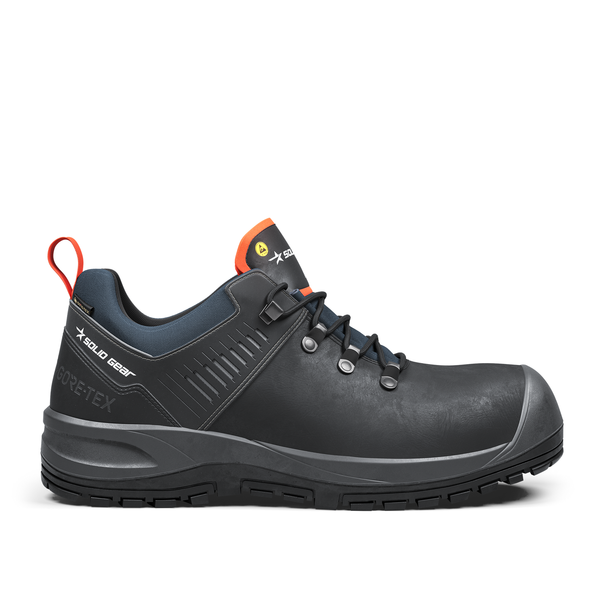 Ion GTX Low