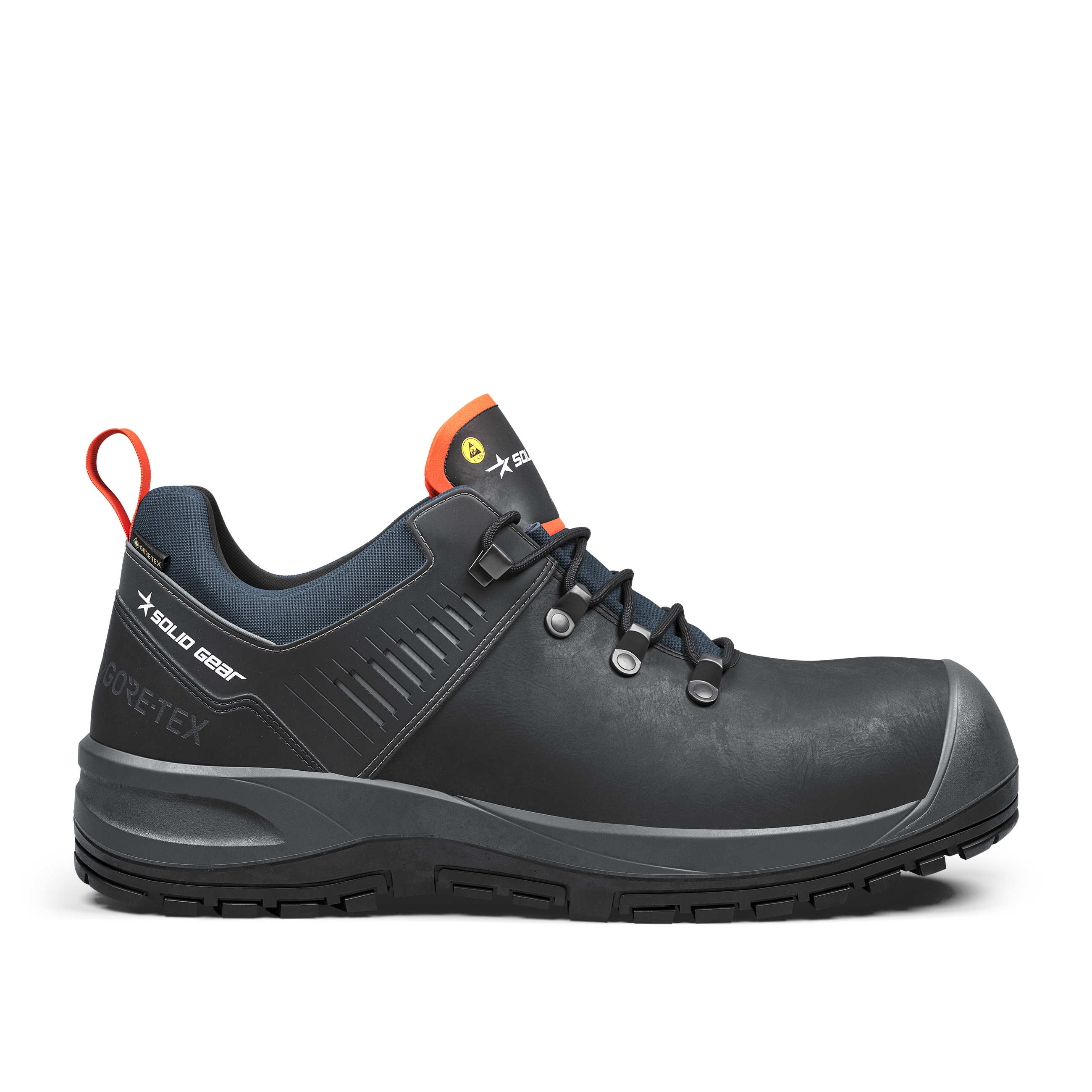 Ion GTX Low